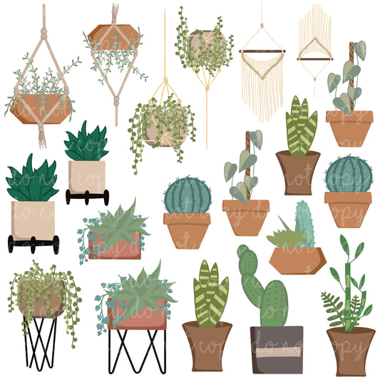 BOHO Plant Mom Potted Plants Elements