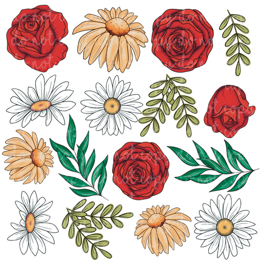 Rose Coneflower Daisy Elements