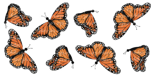 Butterfly Glass Can Wrap